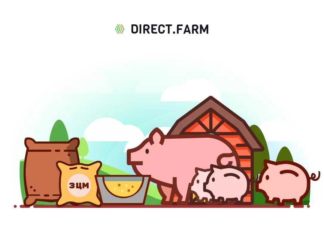 Стоит ли подкармливать подсосных поросят ЗЦМ?