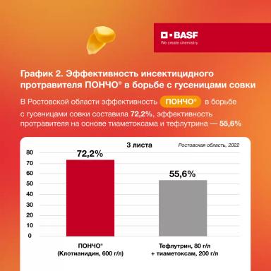 Защита кукурузы от совки на ранних фазах развития