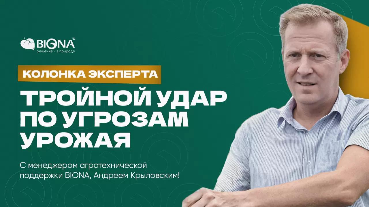 Деструктор ЭФФЕКТ БИО – тройной удар по угрозам урожая