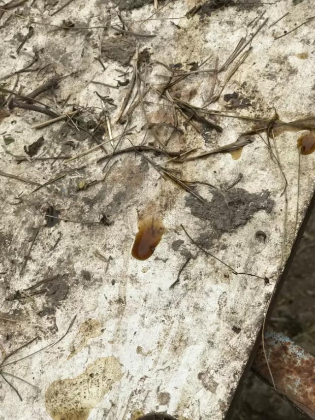 Здравствуйте. Помогите пожалуйста