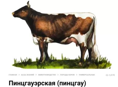 Финчинг (finching) в животноводстве