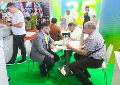 PRO ЯБЛОКО: САДЫ РОССИИ-2025