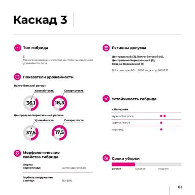 Каскад 3