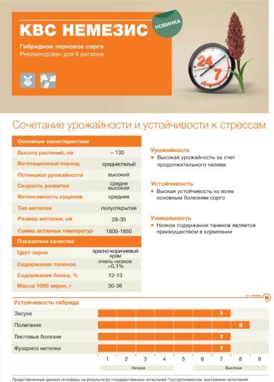 КВС Немезис (KWS NEMESIS)