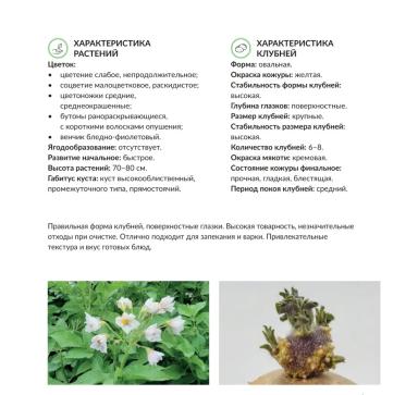 Гэтсби