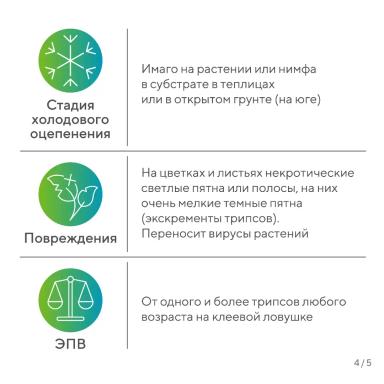 «Вредный объект? У «Августа» ответ!»