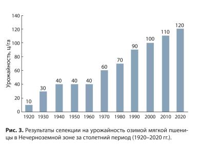 Результаты селекции озимой пшеницы ФИЦ “Немчиновка”