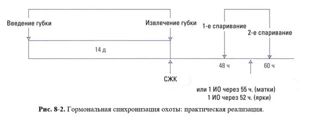 Дюдэ – Овцеводство. Гл. 8. Управление воспроизводством