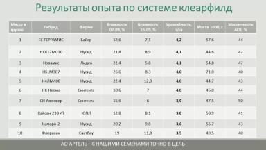 Сравнение урожайности гибридов подсолнечника на площадке АртПолигон 2021 Артель