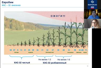 Мифы об азотном питании и азотных удобрениях