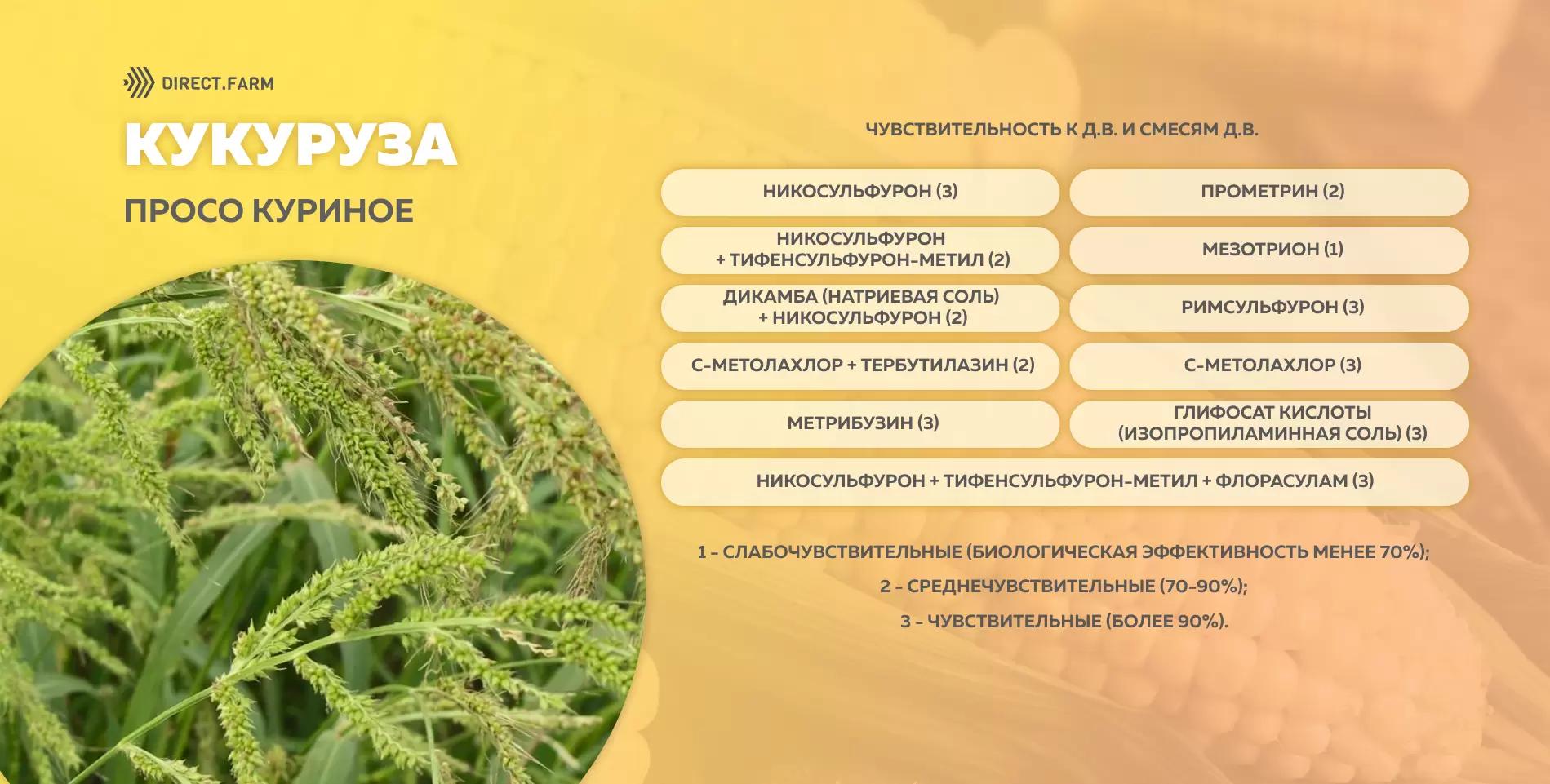 Шпаргалка чувствительности проса куриного к д.в. гербицидов