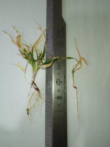 Спасибо Direct. Farm за викторину 🙂