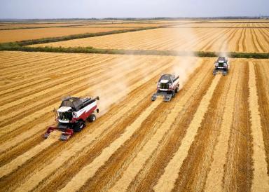 Слово партнерам «Августа». ООО «Кубрис»