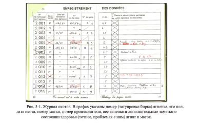 Дюдэ – Овцеводство. Гл. 3. Технико-экономическое планирование в овцеводстве