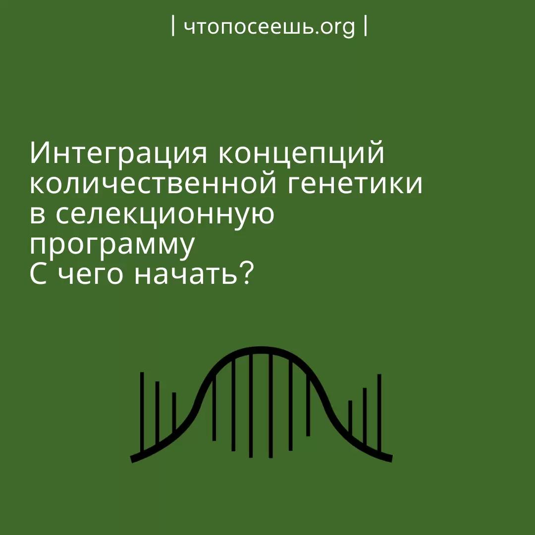 Интеграция концепций количественной генетики в селекционную программу.