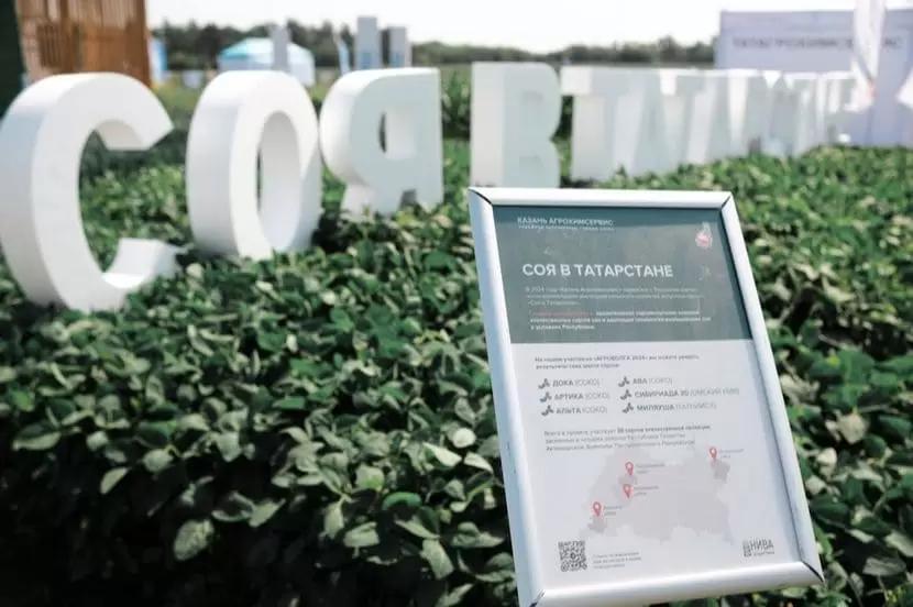 Топ-сорта сои в 2024 году по районам РТ: 📌 Лаишевский район – ЕС Фавор (23,1
