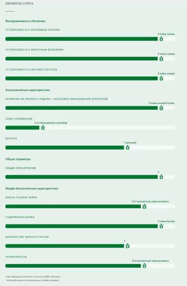 Вельвет (VELVET)