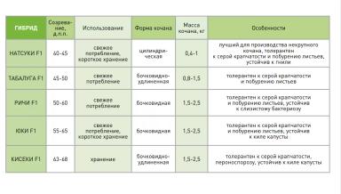 Кисеки F1 (KISEKI)