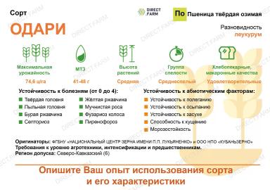 Одари сорт твердой озимой пшеницы
