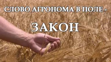 С ДНЕМ АГРОНОМА!