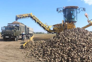 Погрузчики-очистители сахарной свеклы: ROPA euro-Maus 4 и Holmer Terra Felis 3