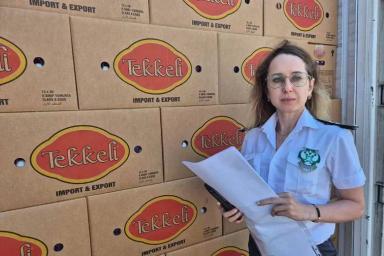 Обзор новостей за 5 июня