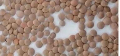 семена красной чечевицы сорт ЛИра ЭС под имазамока,имазапир