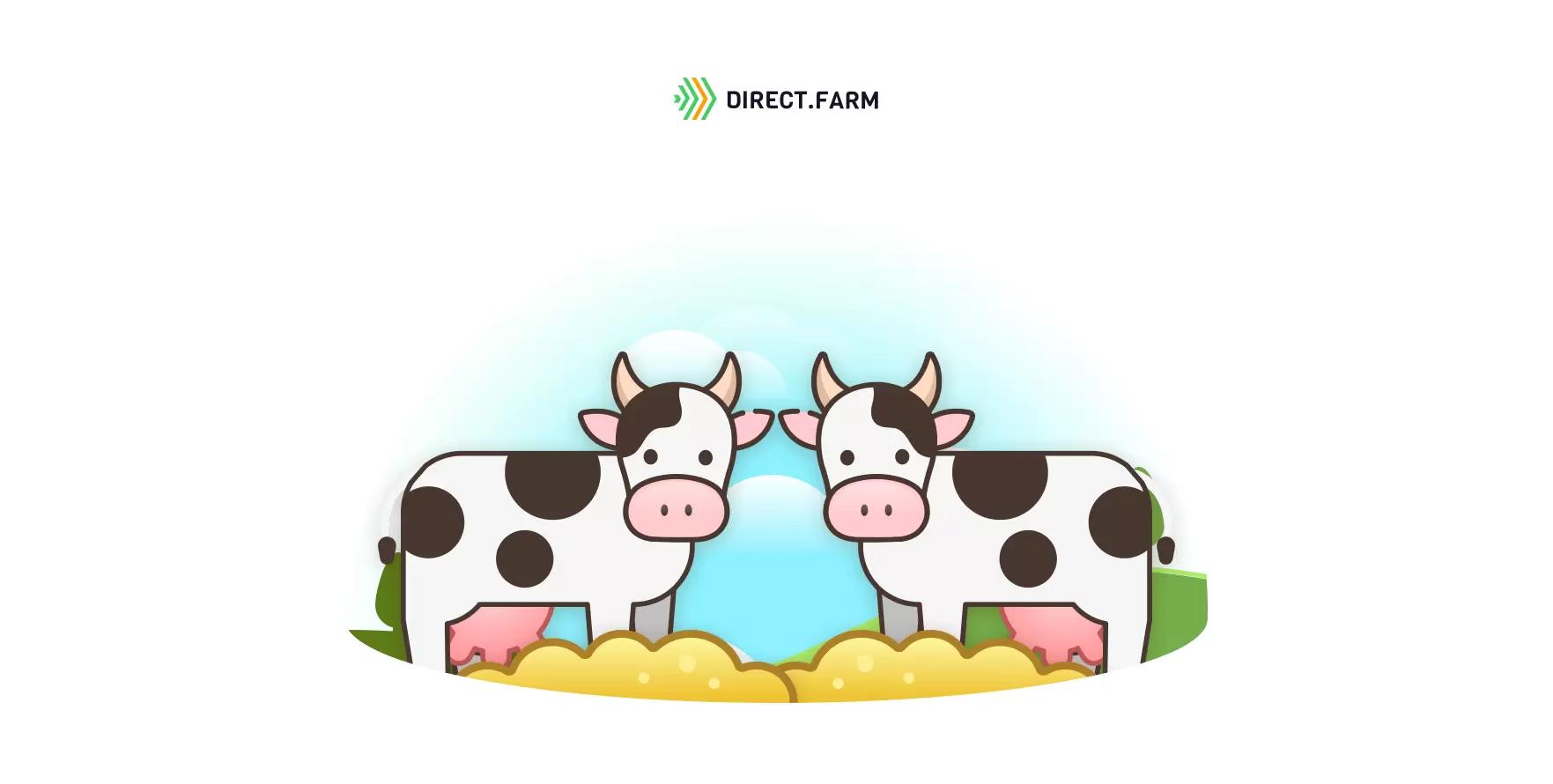 Экономика кормления дойного стада одним рационом