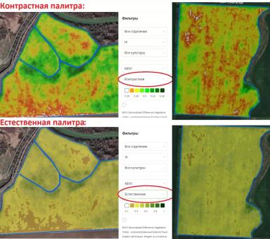 Контрастный NDVI и другие спектральные снимки поля.