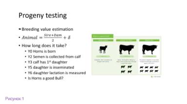 Генотип и окружающая среда: включение факторов среды в племенные оценки животных
