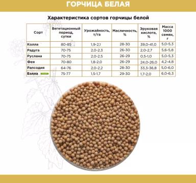 Бэлла ® - сорт белой горчицы  (Sinapis alba L.). Раннеспелый. Тип растения: 0 типа (безэруковый).