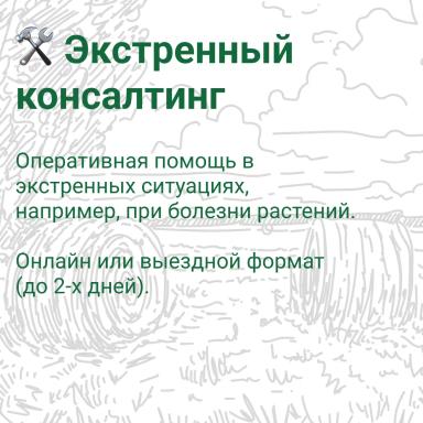 🌾 Где получить оперативную консультацию по агросопровождению? 