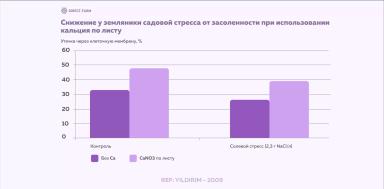 Смягчение солевого стресса клубники с помощью кальция и бора