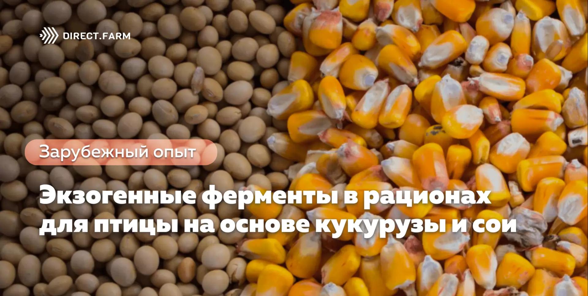 Экзогенные ферменты в рационах для птицы на основе кукурузы и сои