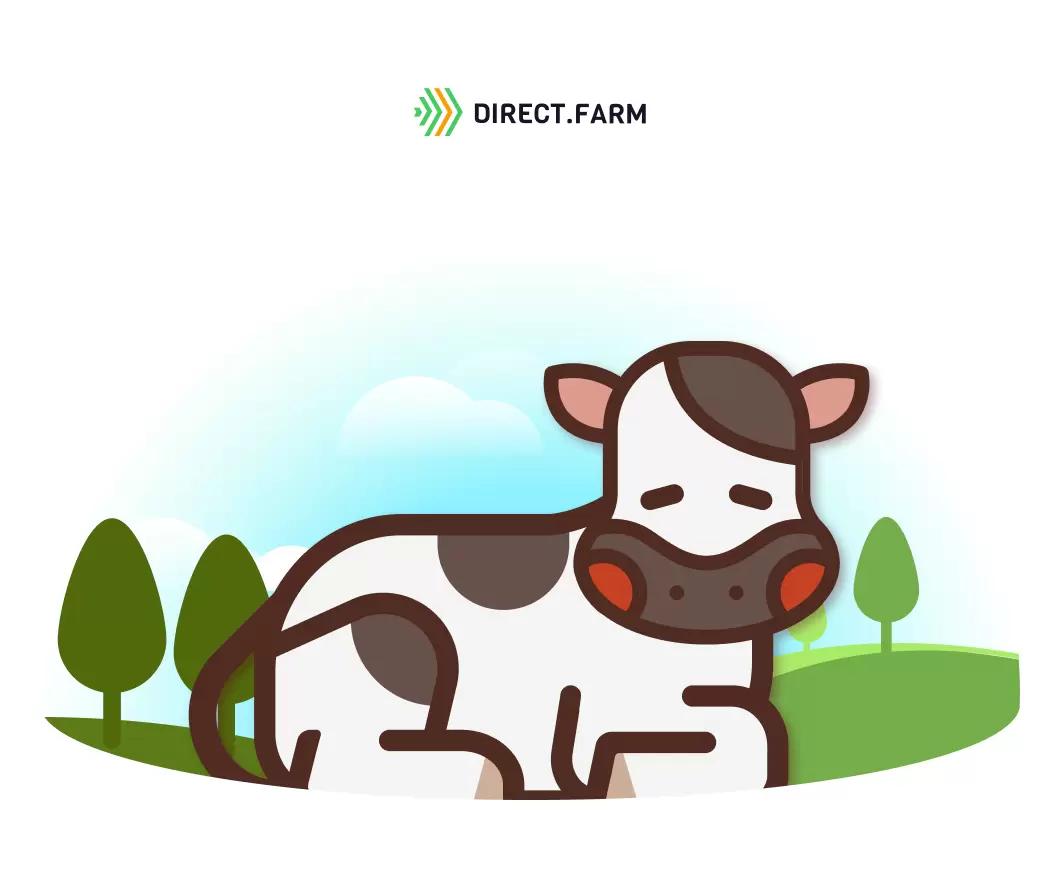 Как помочь теленку при обезвоживании?