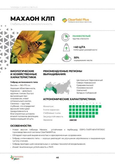 Махаон КЛП гибрид подсолнечника