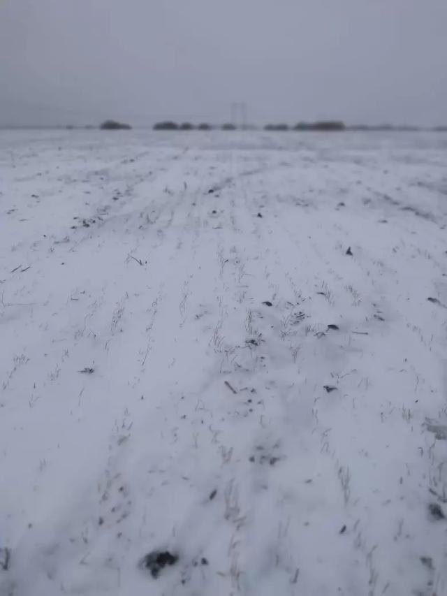 Еду завтра озимую мать спасать