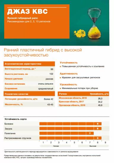 Джаз КВС (JAZZ KWS) гибрид рапса ярового