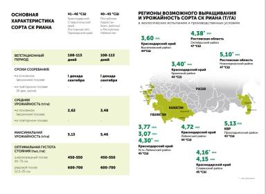 СК Риана сорт сои