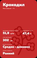 Крокодил - гибрид озимого рапса  (Brassica napus var. napus).