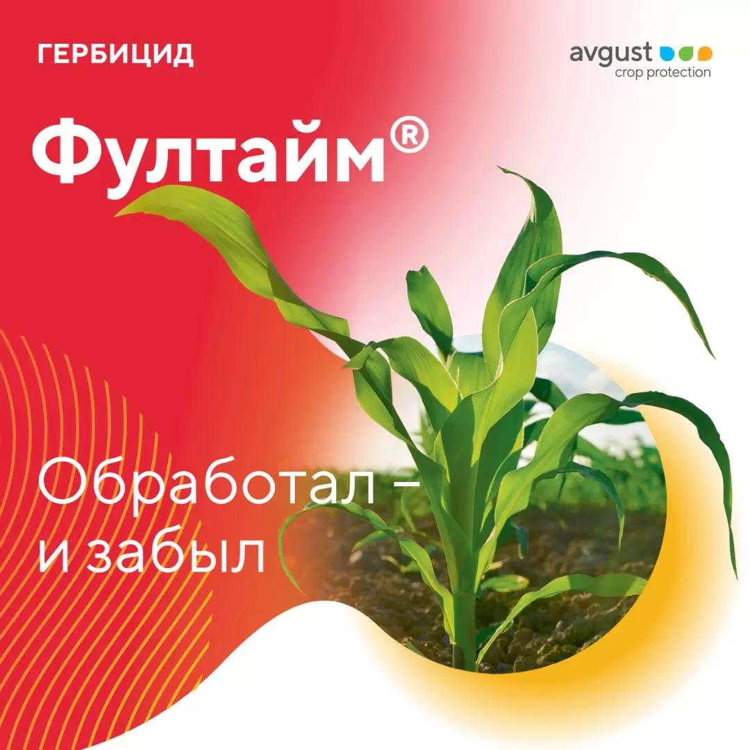 Результаты испытаний гербицида на кукурузе