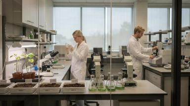 Редактирование генома растений CRISPR