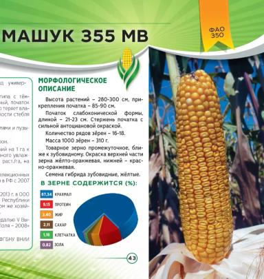 Машук 355 МВ
