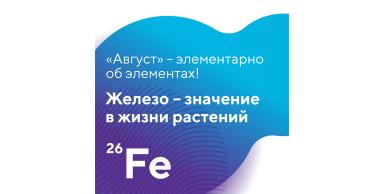 «Элементарно об элементах!»: железо