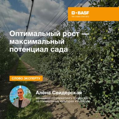 Оптимальный рост — максимальный потенциал сада