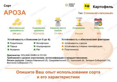 Ароза (AROSA) картофель