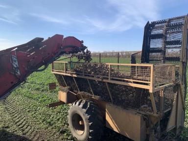 Точный сев - залог отличного урожая. Свеклоуборочный комбайн Holmer Terra Dos T4