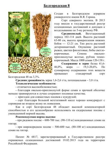 Белгородская 8