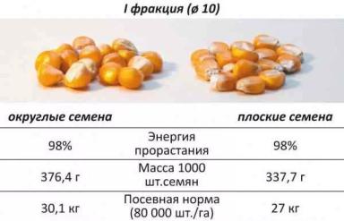 Калибровка семян кукурузы влияет на урожай