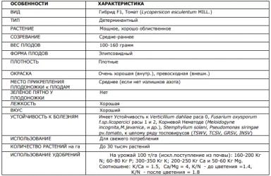 Диаболик F1 (DIABOLIC)